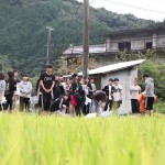 真国御田米作り～米作り実践アートプロジェクト～「稲刈り」　プロジェクト研究班による報告