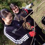 紀美野町で初のブドウハゼ収穫