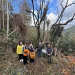 天然記念物「ブドウハゼの原木」の実の収穫